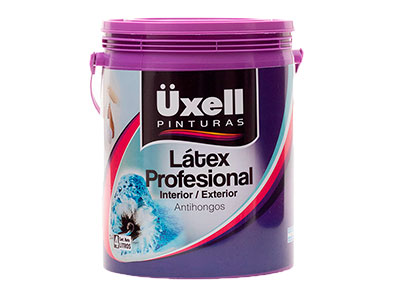 Latex profesional int/ext